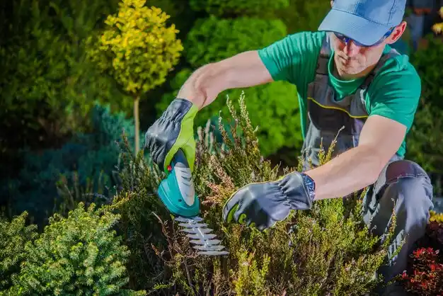 landscaping services Cassopolis